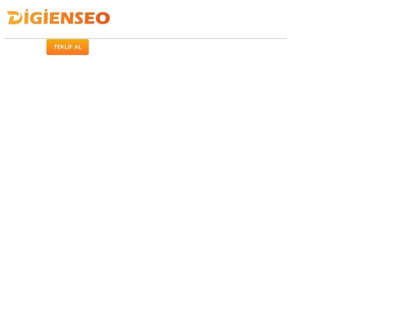 digienseo.com