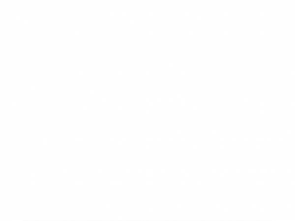 enel.it