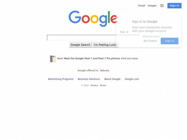 google.lt