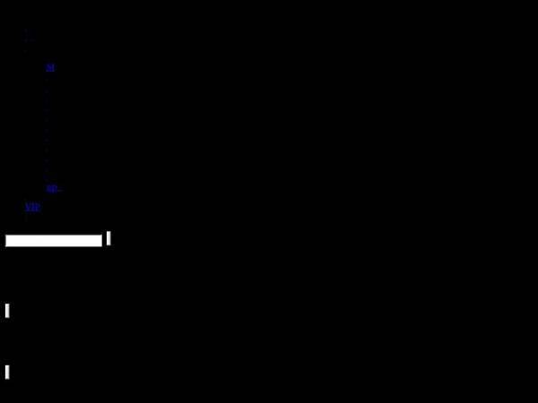 1905.com