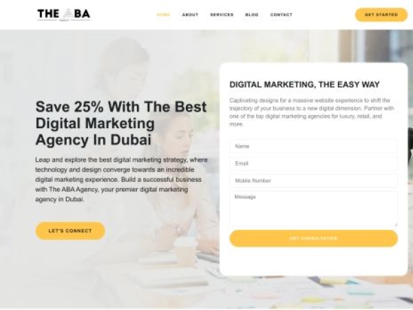 theabaagency.com