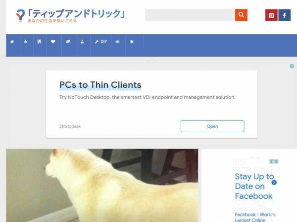 tipsandtricksjapan.com