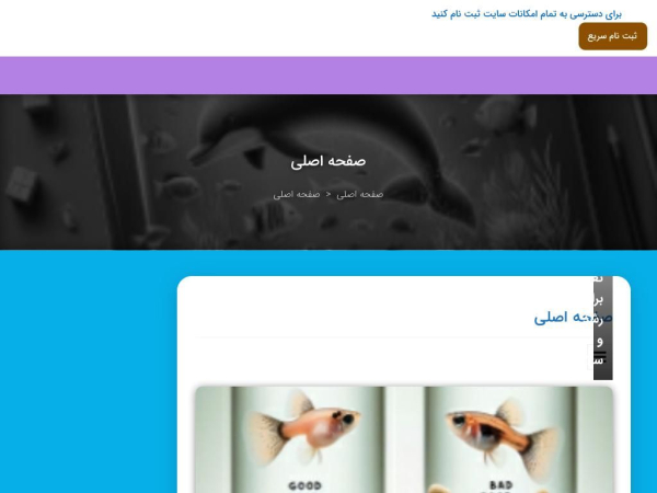 moorishop.ir
