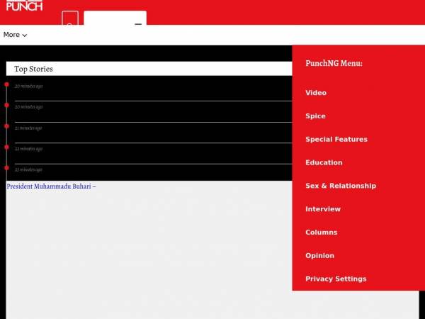 punchng.com