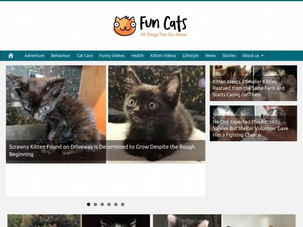 oataltaul.com