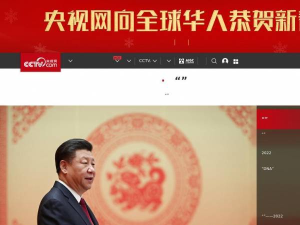 cctv.cn
