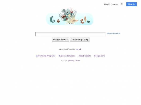 google.com.sa