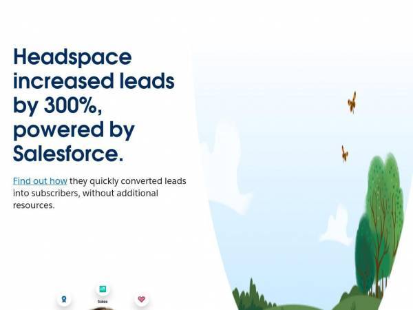 salesforce.com